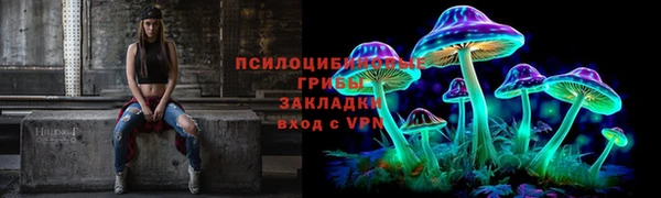 прущие грибы Удомля