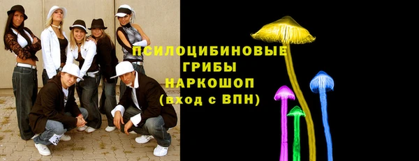 СК Шадринск
