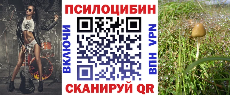 mega маркетплейс  купить   Балаково  Галлюциногенные грибы ЛСД 