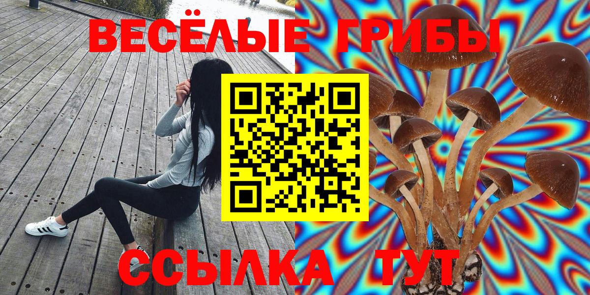 Псилоцибиновые грибы Psilocybine cubensis Балаково