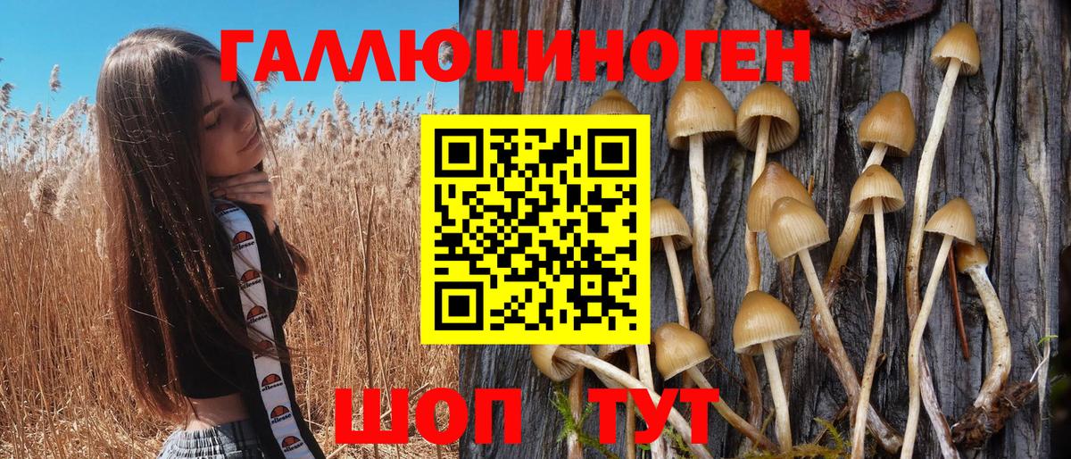 Псилоцибиновые грибы Cubensis  Вход с VPN  Балаково  Галлюциногенные грибы MAGIC MUSHROOMS 